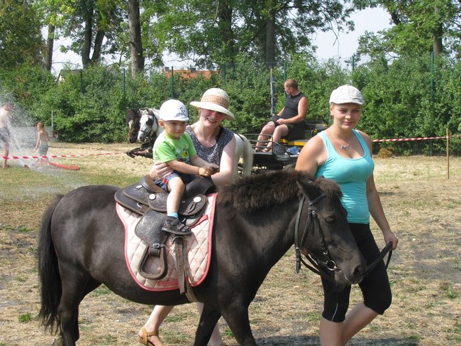 Konne zmagania w pełnym słońcu - zdjęcia