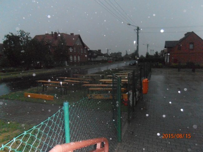 Nie zamierzają dać za wygraną - zdjęcia