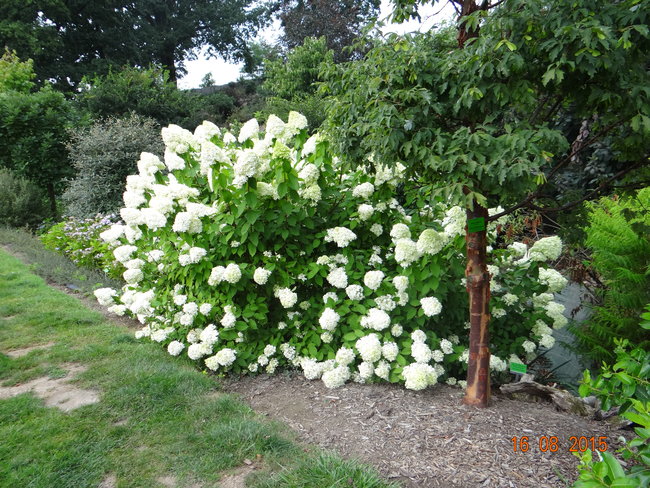 Wycieczka z ?horrorem