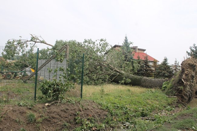 Urzędnicy policzyli straty po nawałnicy