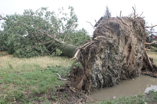 Urzędnicy policzyli straty po nawałnicy