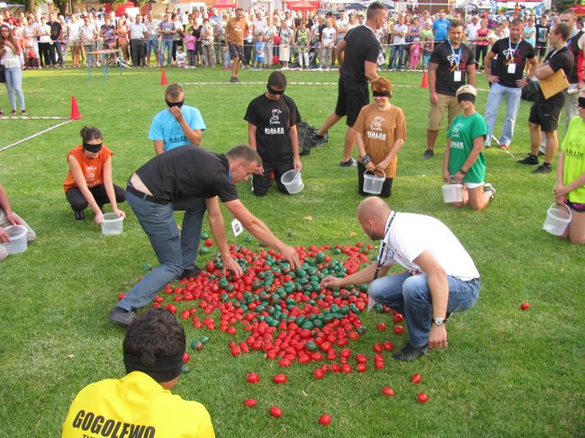 Fortuna toczyła się... pomidorem - zdjęcia