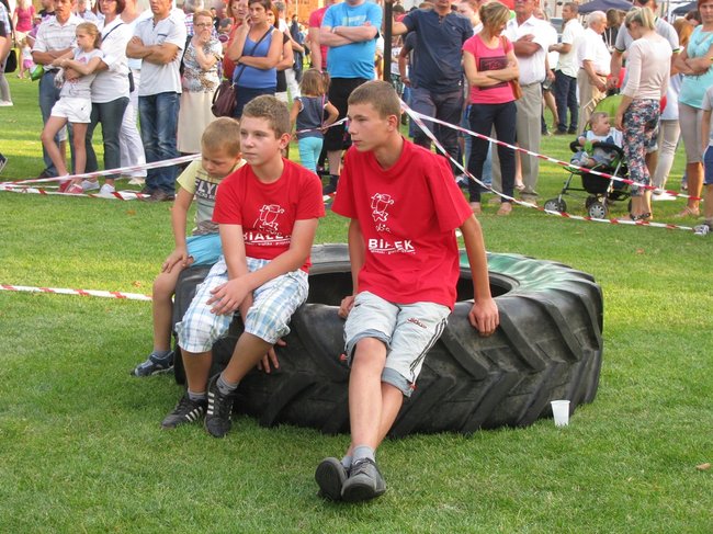 Fortuna toczyła się... pomidorem - zdjęcia