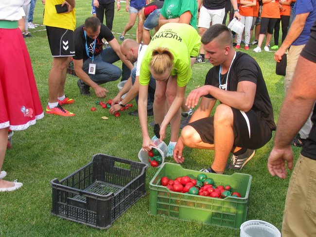Fortuna toczyła się... pomidorem - zdjęcia