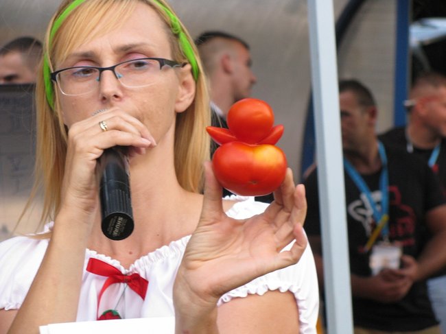 Fortuna toczyła się... pomidorem - zdjęcia