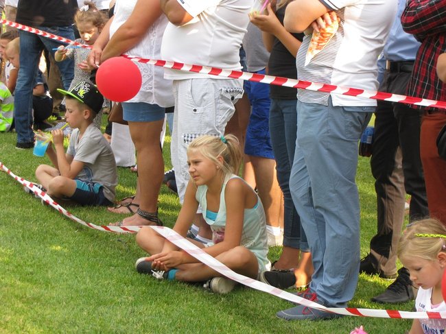 Fortuna toczyła się... pomidorem - zdjęcia