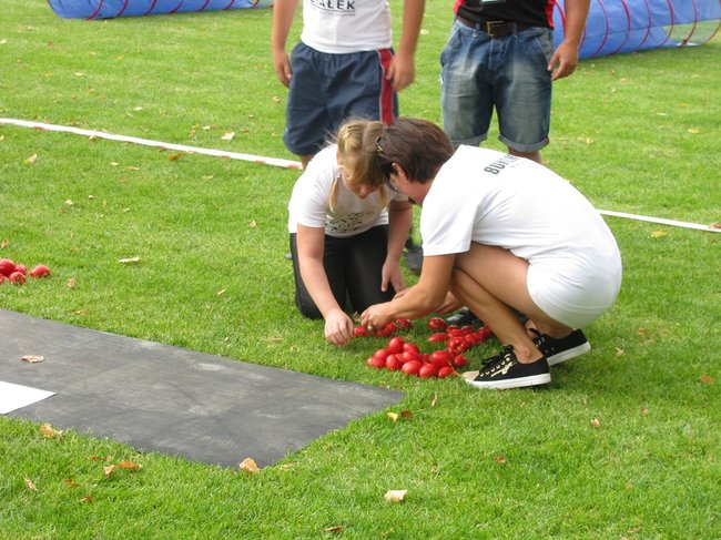 Fortuna toczyła się... pomidorem - zdjęcia