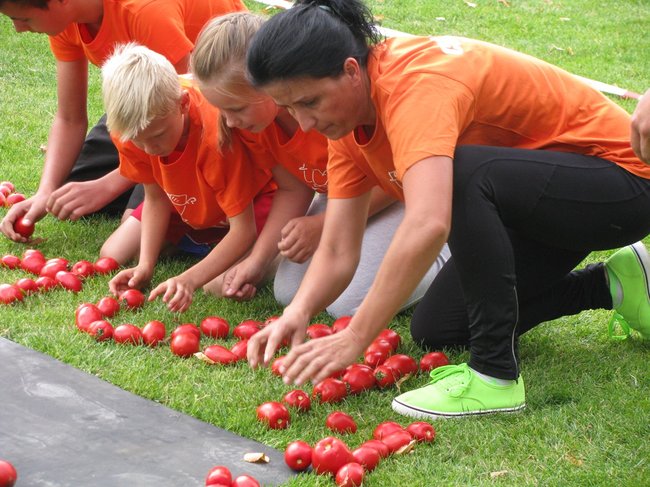 Fortuna toczyła się... pomidorem - zdjęcia