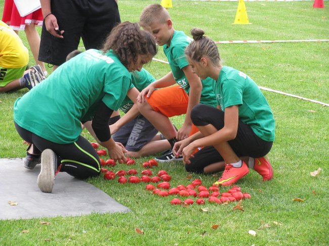 Fortuna toczyła się... pomidorem - zdjęcia