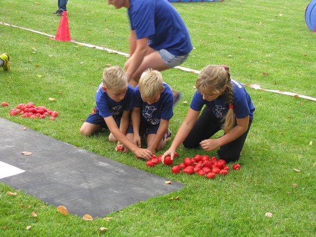 Fortuna toczyła się... pomidorem - zdjęcia