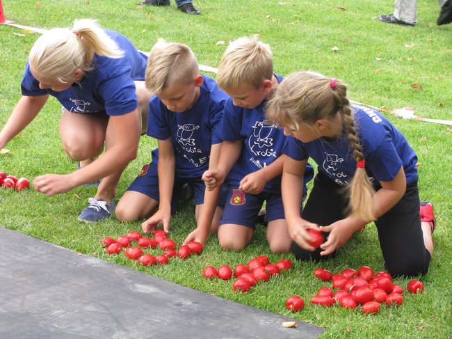Fortuna toczyła się... pomidorem - zdjęcia