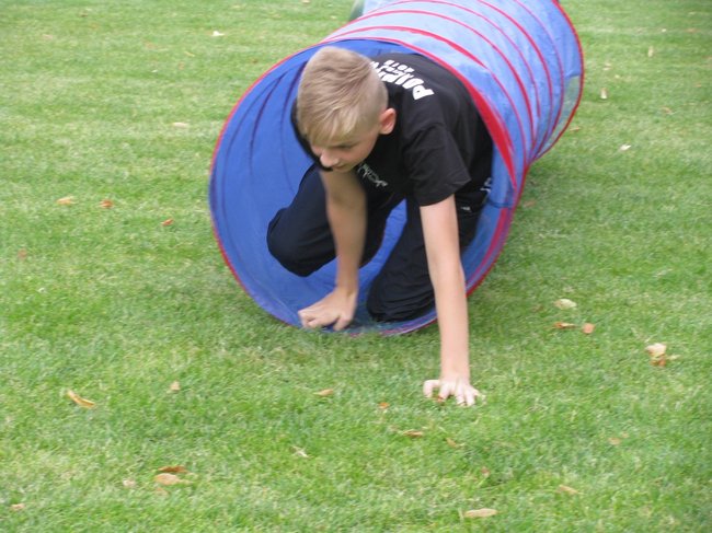 Fortuna toczyła się... pomidorem - zdjęcia