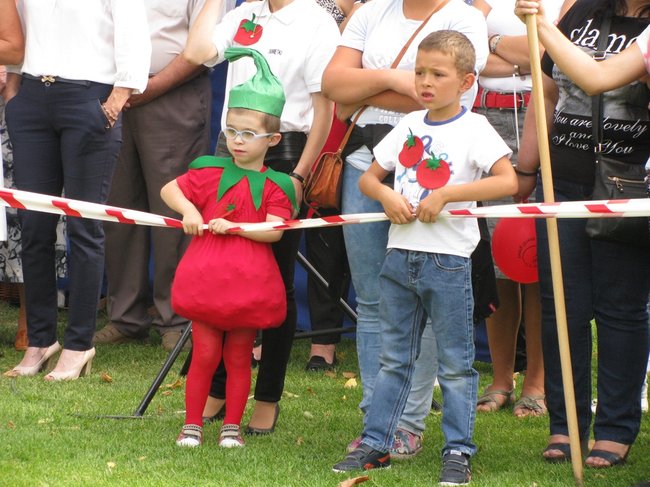 Fortuna toczyła się... pomidorem - zdjęcia
