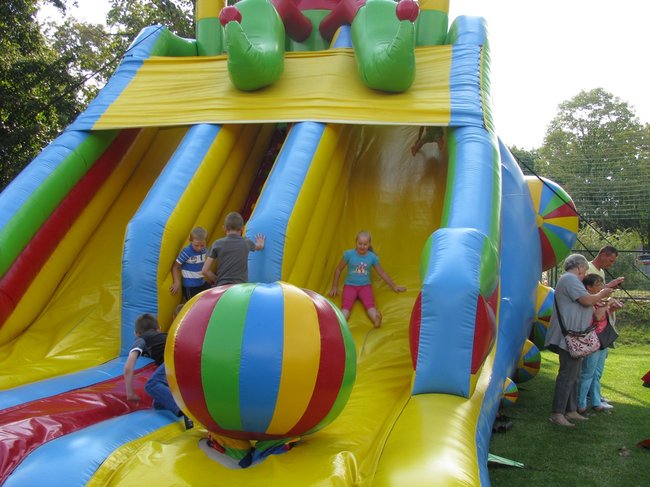 Fortuna toczyła się... pomidorem - zdjęcia