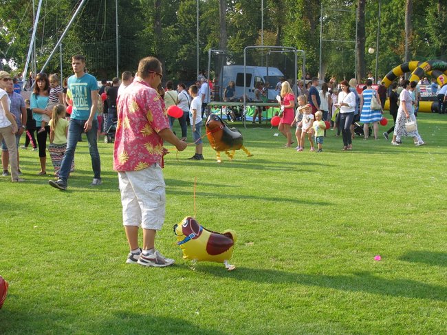 Fortuna toczyła się... pomidorem - zdjęcia
