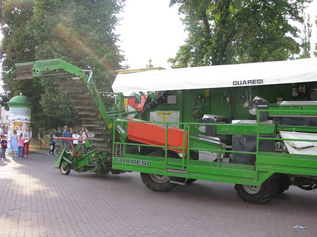 Fortuna toczyła się... pomidorem - zdjęcia