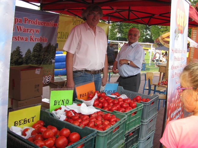 Fortuna toczyła się... pomidorem - zdjęcia