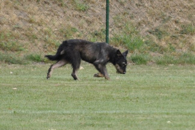 Bohater ostatniej akcji ? zdjęcia