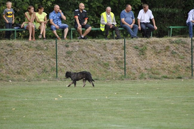 Bohater ostatniej akcji ? zdjęcia