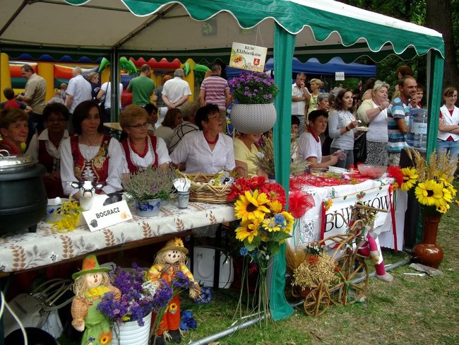 Kraina mlekiem i serem płynąca - zdjęcia