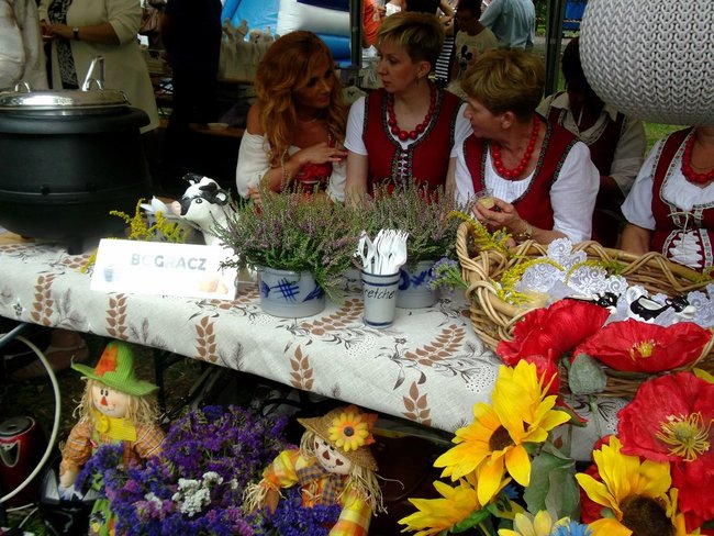 Kraina mlekiem i serem płynąca - zdjęcia