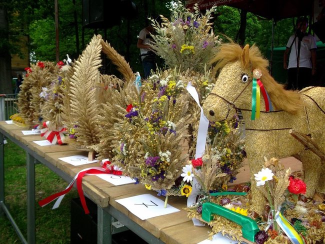 Kraina mlekiem i serem płynąca - zdjęcia