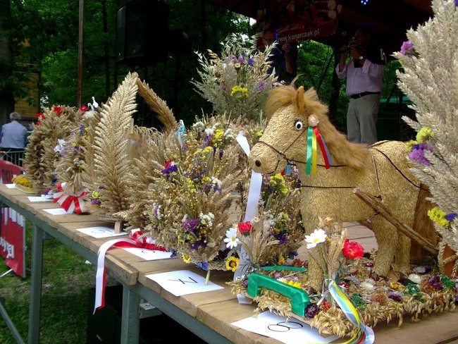 Kraina mlekiem i serem płynąca - zdjęcia