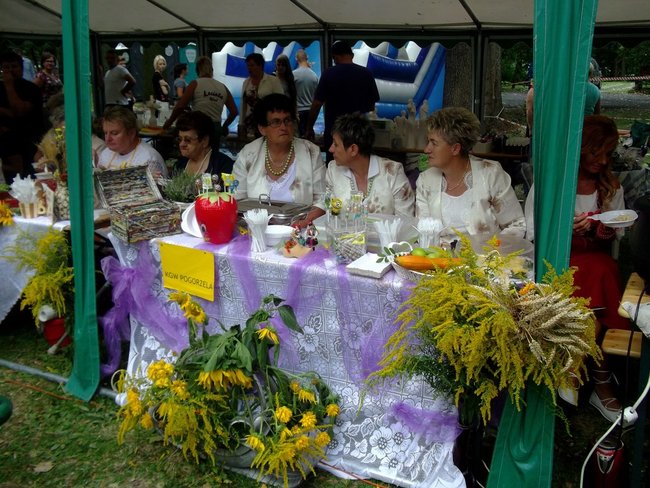 Kraina mlekiem i serem płynąca - zdjęcia