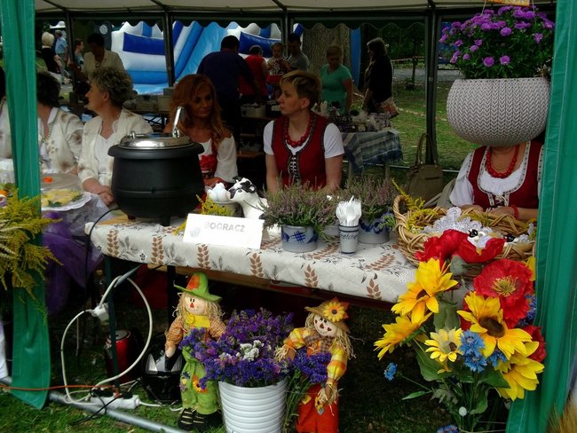 Kraina mlekiem i serem płynąca - zdjęcia