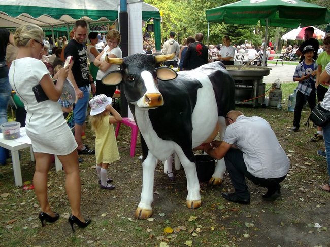 Kraina mlekiem i serem płynąca - zdjęcia