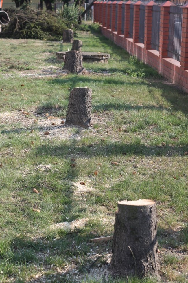 Mieszkańcy są oburzeni  - zdjęcia