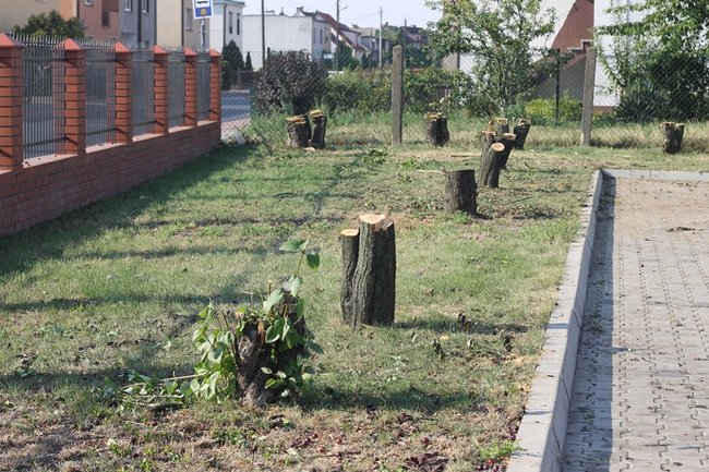 Mieszkańcy są oburzeni  - zdjęcia