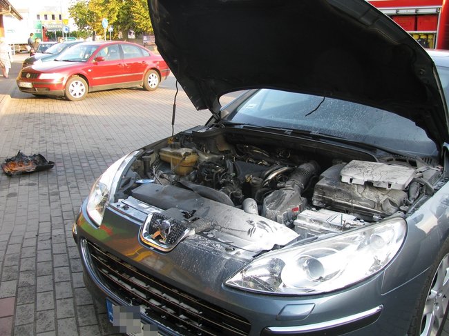 Próbował ratować auto - zdjęcia