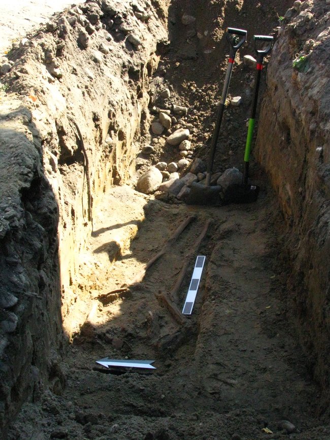 Ludzkie kości w centrum wioski - zdjęcia