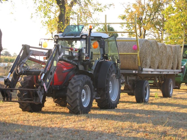 Dożynki jak marzenie - zdjęcia