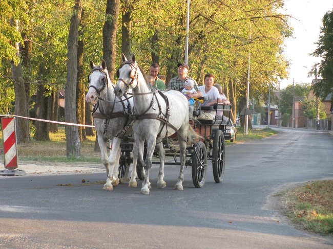 Dożynki jak marzenie - zdjęcia