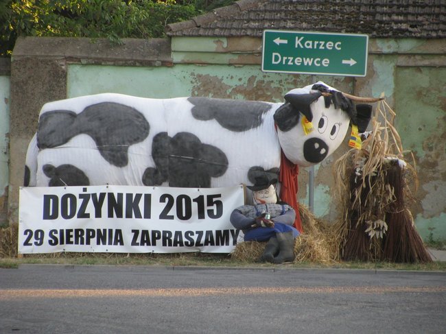 Dożynki jak marzenie - zdjęcia