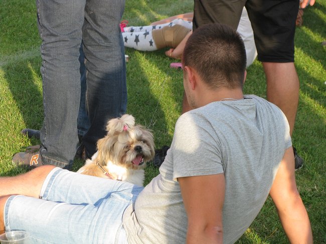 Firmy bawiły się na sportowo - zdjęcia