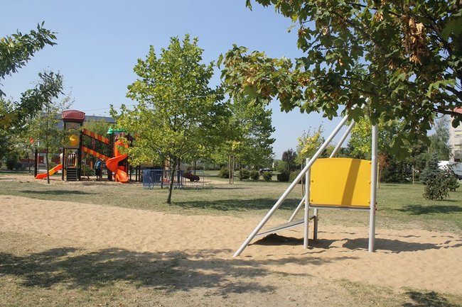 Każdy znajdzie coś dla siebie - zdjęcia