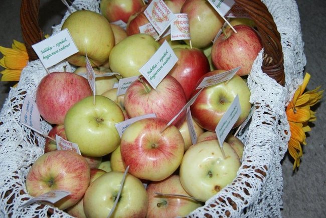 Nie poddali się deszczowej aurze - zdjęcia