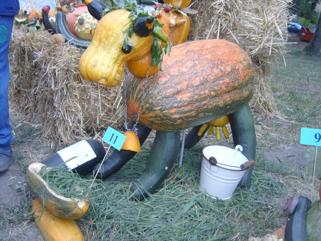 Posmakowali pyszności i dobrej zabawy - zdjęcia