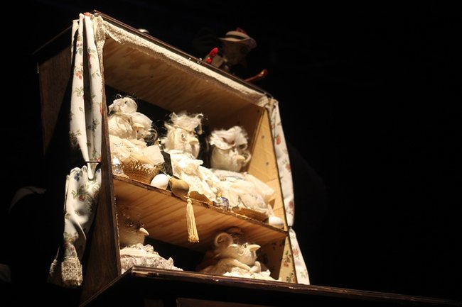 A nich to Gęś kopnie! - zdjęcia