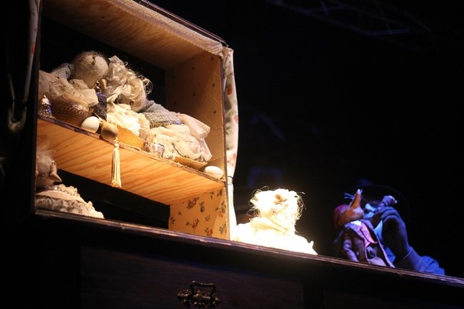 A nich to Gęś kopnie! - zdjęcia