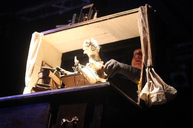 A nich to Gęś kopnie! - zdjęcia