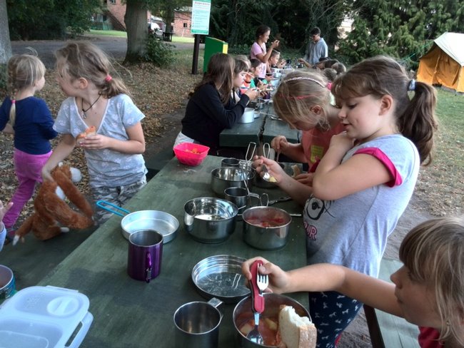 Jesienne harce w lesie - zdjęcia