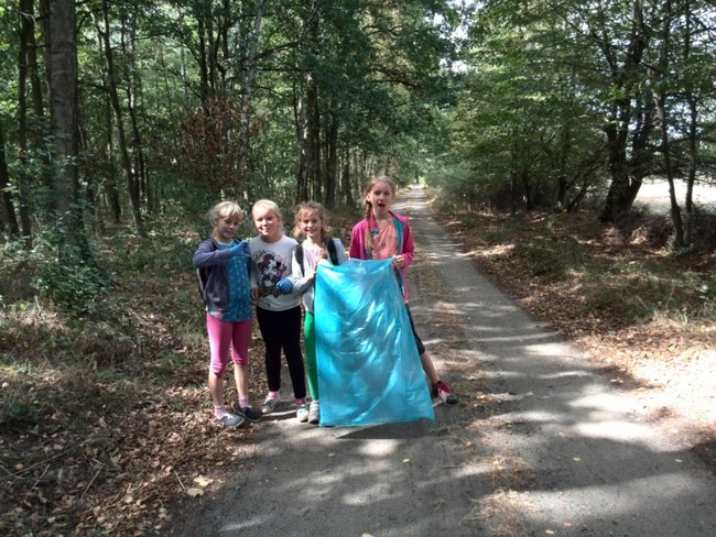 Jesienne harce w lesie - zdjęcia