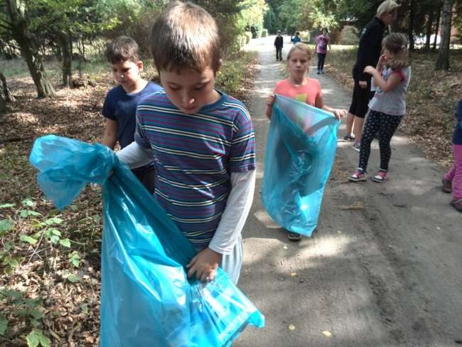 Jesienne harce w lesie - zdjęcia