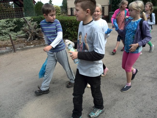 Jesienne harce w lesie - zdjęcia