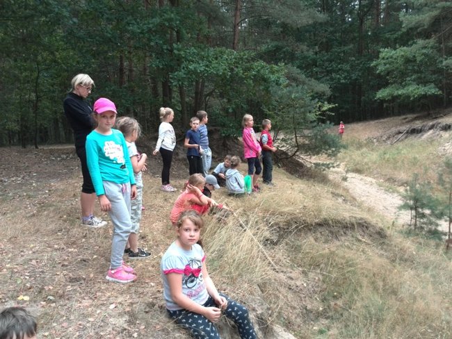 Jesienne harce w lesie - zdjęcia