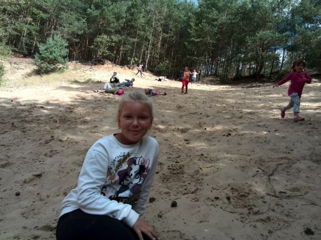 Jesienne harce w lesie - zdjęcia